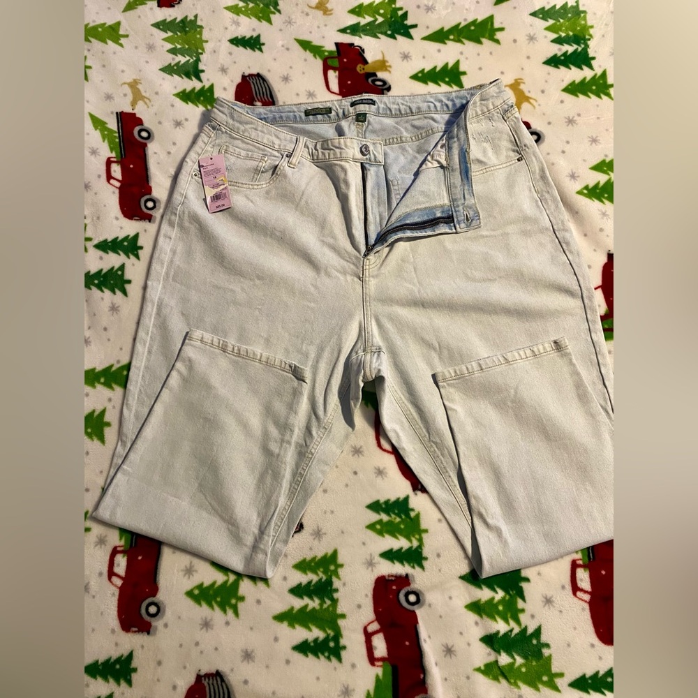 Women’s distressed jeans, size 18. Wild fable brand.
